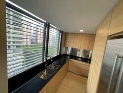 Hana (D10), Condominium #511046281
